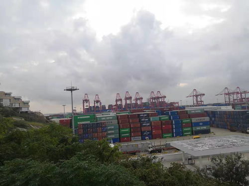 上海港危險品貨代危險品國際物流流程